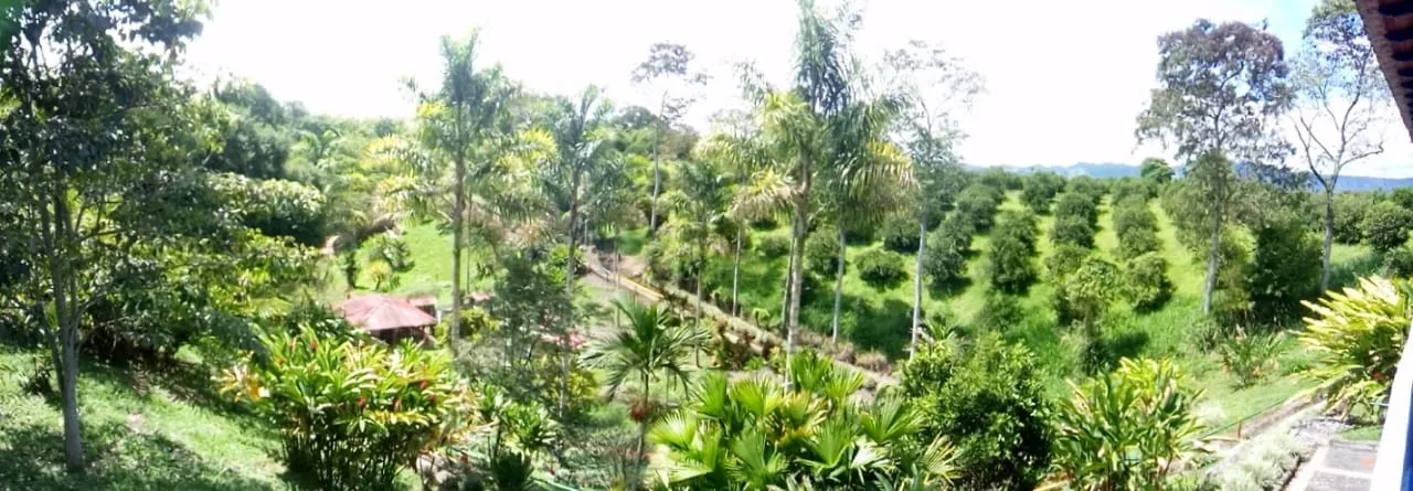 Paisaje montañoso del Eje Cafetero colombiano